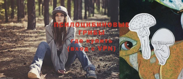 ешки Кукмор