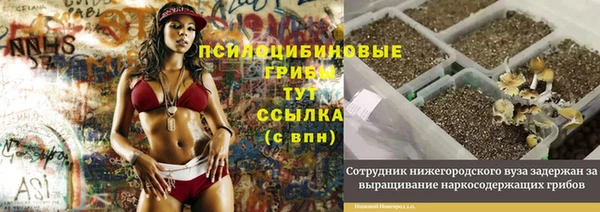 ешки Кукмор