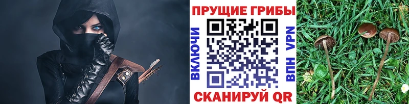 Галлюциногенные грибы мицелий  Мамадыш 